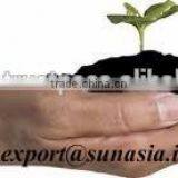 Pure Neem Seed Powder thumbnail-1