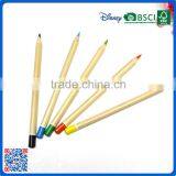 Japanese 10 Colors Raw Wood Pencils With Dip Top