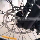 Flyer,New Design!china 36v 8ah Battery Electric Bicycle thumbnail-3