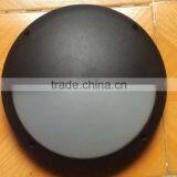 Outdoor IP65 Ceiling Light thumbnail-5