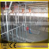 pipe for pig stall/galvanised steel pipe/tube