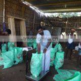 Coconutst From Orisa thumbnail-3