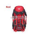 Blue Travelling Backpack With Clients' Request