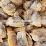 Frozen Fresh Clam Meat Seafood