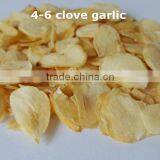 Dehydrated Garlic Granules thumbnail-5