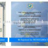 Mixer Food Machine With Price - 20 Liters, Cast Iron Body, Single Speed, CE, HS20E thumbnail-2