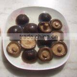 Pickled Whole Shiitake 2-4cm Brined Mushroom Price Market Price for Shiitake Mushroom