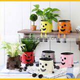 Cute and Unique Plant Pot Flower Pot for For Foliage OEM Available thumbnail-5
