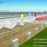 Greenhouse of Polycarbonate Sheet thumbnail-1
