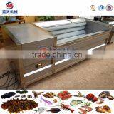 Multi-function Automatic Julienne Vegetable Avocado Pineapple Slicer thumbnail-5