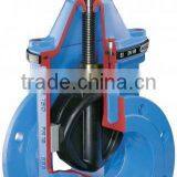 Resilient Seated Gate Valve (dark Bar)