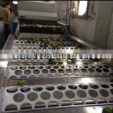 Fruitage Pick Up Equipment/grading Washing and Waxing Machine thumbnail-5