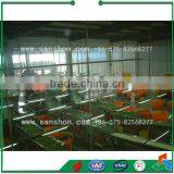 Food Processing Machines Vegetable Processing Machine thumbnail-6