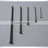 China Manufacturer Nail / Common Nail / Common Wire Nail thumbnail-4
