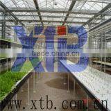Flower and Vegetable Growing Greenhouse thumbnail-1