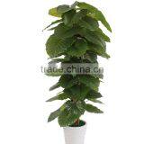 CHY030933 Indoor Artificial Bonsai Plant /plastic Fake Plant/ Artificial Alocasia Plant thumbnail-1