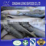 Frozen Seafood Fish Pacific Mackerel thumbnail-2