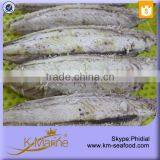 Double Clean Halal Seafood Top Quality SkinLess and BoneLess Fish thumbnail-3