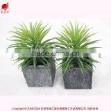 Artificial Succulent Plants Fake Little Succulent Potted Mini Plant Wedding Collection Home Decoration thumbnail-2
