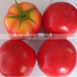 4 Realistic Artificial Tomatoes Fruits Fake Tomato Faux Fruits for Home Decor thumbnail-1