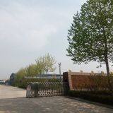 ZhChen Shangpin Machnery Technology Co;Ltd company overview - view 1 thumbnail