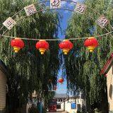 Shijiazhuang Yizhaoda Textile Co., Ltd. company overview - view 1 thumbnail