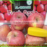 Bright Red Fresh Apple/Outstanding Chinese Exporters thumbnail-1