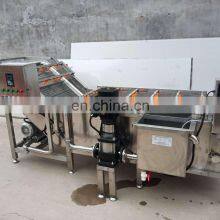 Fruit and Vegetable Washing and Drying Machine /automatic Vegetable Washing Machine /vegetable Bubble Washing Machine thumbnail-4