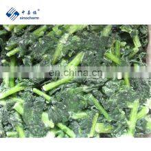 Sinocharm Brand 16oz 500g 20bags BQF Radish Leaf thumbnail-2