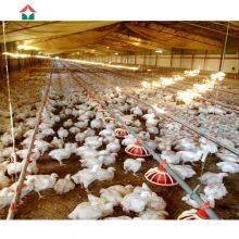 Poultry Farm Design With Bird Cage for Layers thumbnail-3
