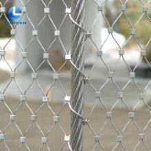 Hot Dipped Galvanized Steel Wire Rope Mesh/low Carbon Zoo Rope Mesh With High Quality for Sale thumbnail-4