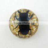 2016 Latest Design Meaningful Paperweight for Promotion Gift With Real Insect thumbnail-4