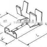 Terminal for Automobile