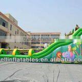 Giant Inflatable Slide/ Commercial Grade Inflatable Water Slides