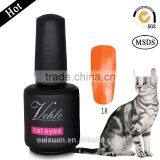 V.chlo Wholesale Soak off Colored Gel Polish Cat Eye 3D Magnet Nail Gel thumbnail-1