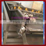 Bubble Type Kelp Washing Machine|Mushroom and Bean Sprout Cleaning Machine thumbnail-4