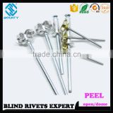 HOT SELLING OPEN END MANUFACTURER RECESSED CROWN ALU/ST PEEL TYPE RIVETS