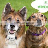 Db Manufacturer Hunting Dog Tracking Collar With Geofence Alarm, Tracking via App From Your Cell Phone