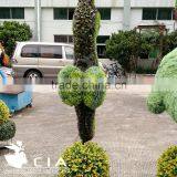 Fake Green Sculpture Animal Boxwood Topiary Hippocampus thumbnail-5