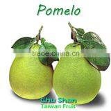 Grade A Fresh Pomelo thumbnail-5