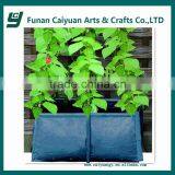 2015 best selling garden vegetable plant grow bag