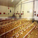 broiler chicken poultry farm equipment