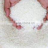 JAPONICA RICE 5% BROKEN ( JAPAN RICE ) thumbnail-1