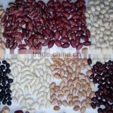 2014 Chinese red kidney bean with cheap price