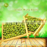 JSX Peeling Sparkled Kidney Beans South Asia Best Quality Green Mung Bean thumbnail-6