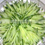Stainless Steel Industrial Fruit Vegetable Processing Industrial Vegetable Cutter +8618637188608 thumbnail-6