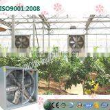 Tunnel Film Greenhouse Cooling System Use Motor Power Exhaust Box Fan thumbnail-5