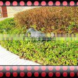 OEM HDPE Plastic Bird Decoy,Fire Bird,plastic Pigeon Decoy,hunting Decoy Bird thumbnail-2