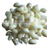 Double Cylinder Peeling Machine Peeling Machine Peeling Machine Shelling Machine JY-128-2 thumbnail-2