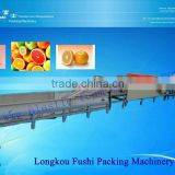 CE Approved Fruit Washing And Dry Waxing Machine